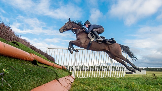 Schooling Grounds